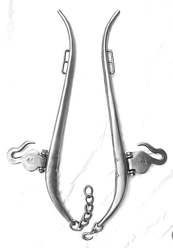 Horse hames 2 - horse, pairs