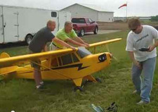 Scale piper cub - scale, ft