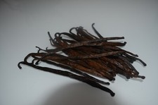 20 Bourbon Vanilla Pods