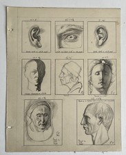 Drawing Of Heads & Details From 1930s Pencil Sketch Decorative Original