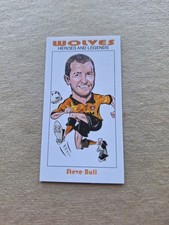 STEVE BULL WOLVES /  ENGLAND