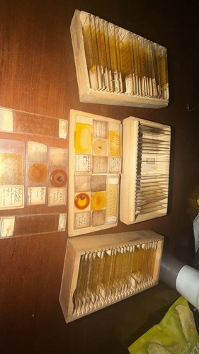 Antique microscope slide - antique,
