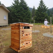 10 Frame Bee Hive Starter Kit