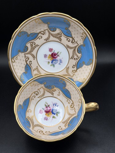 Paragon blue cream gold - &,
