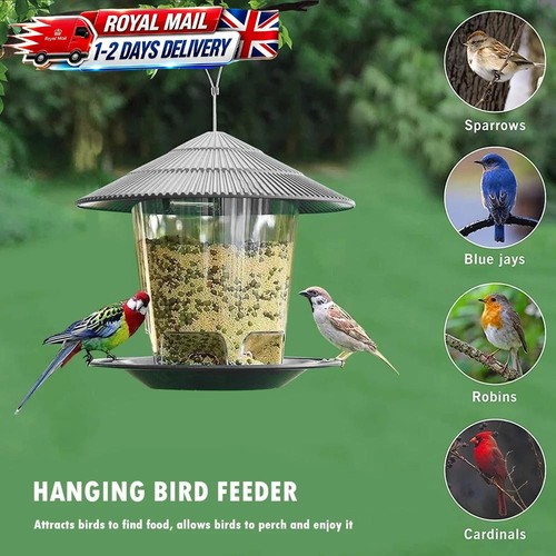 Wild bird feeder hanging suet - bird,