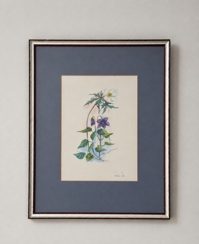 Vintage signed botanical - signed,