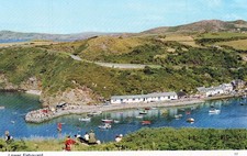 WALES POSTCARD Fishguard Lower