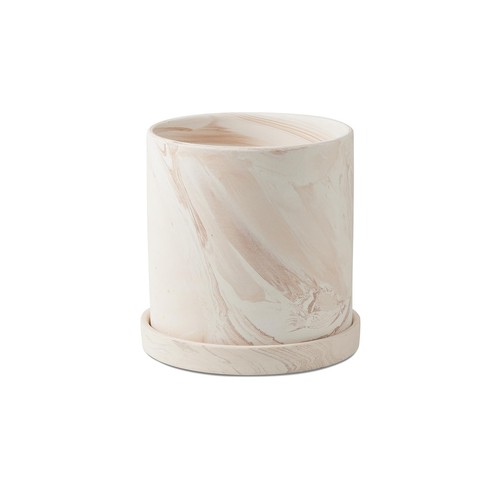 6inch terra cotta plant - 6inch, pot