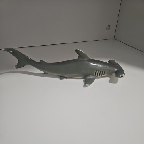 Aaa hammerhead shark - hammerhead,