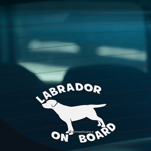 Labrador board retriever - labrador,