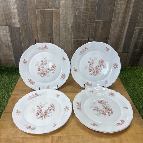 Vintage arcopal france - vintage,