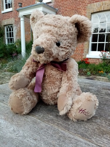 Hamleys teddy bear - teddy,