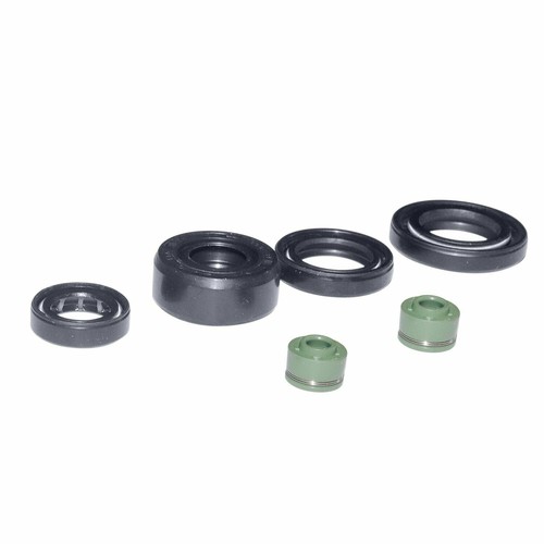 Oil seal set 150 160 - set,