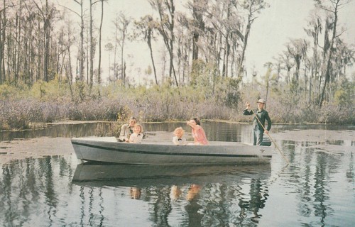 Okefenokee swamp park people - swamp,