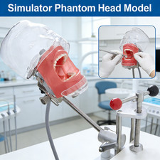 Dental Simulator Mannequin