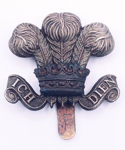 Royal wiltshire yeomanry - royal,