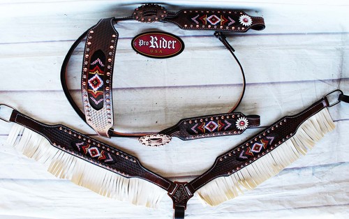 Horse show bridle western - horse,