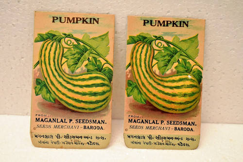 Vintage pumpkin seed packets - vintage,