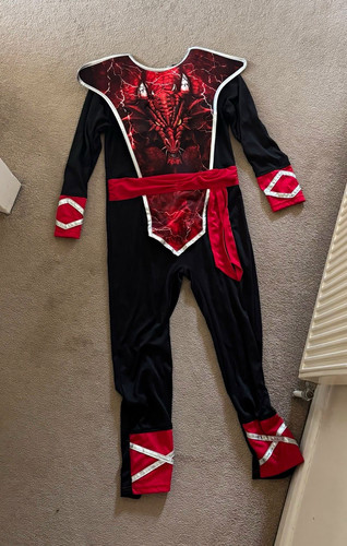 Dragon fancy costume one - costume, piece