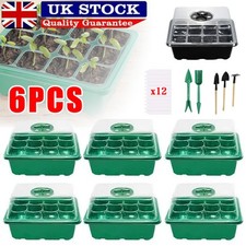 6 Pack 72 Cells Propagator