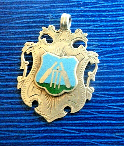 Silver enamel cricket - silver,