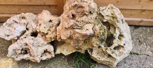 Aquarium ocean rock - aquarium,