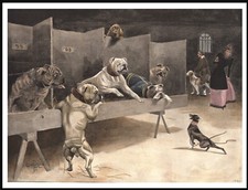 BULLDOG & ENGLISH TOY TERRIER AT SHOW VINTAGE STYLE A4 SIZE DOG ART PRINT POSTER