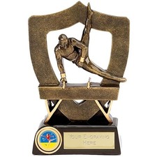 FREE ENGRAVING & CLUB BADGE - Gymnastics Trophy Award - 17cm - Bargain Cheap