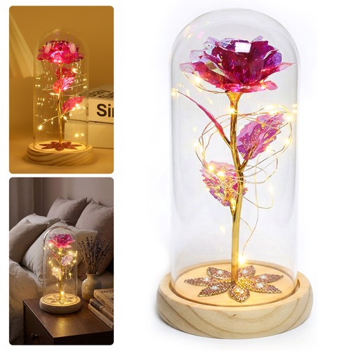 New forever rose flower - rose,