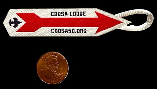 Boy scout bsa - boy,