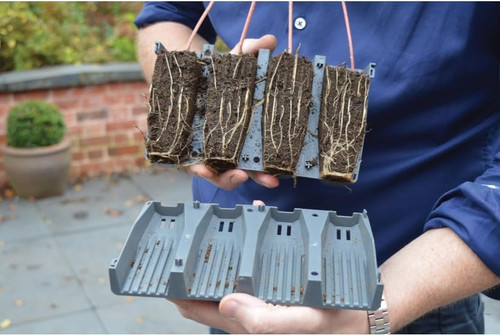 Cell deep root plant - 28,