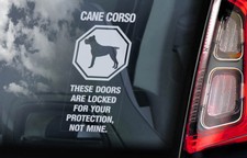 CANE CORSO Car Sticker,  Dog