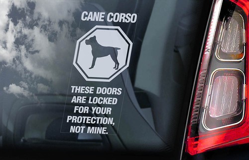 Cane corso car sticker - car,