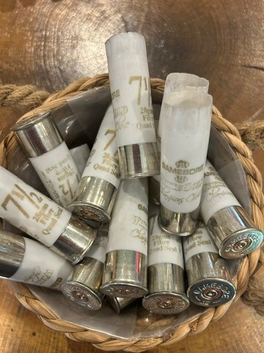 Spent shotgun cartridge cases - shotgun,