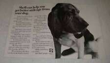 1968 Shell Chemicals Ad -