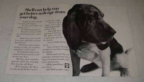1968 shell chemicals - 1968, ad