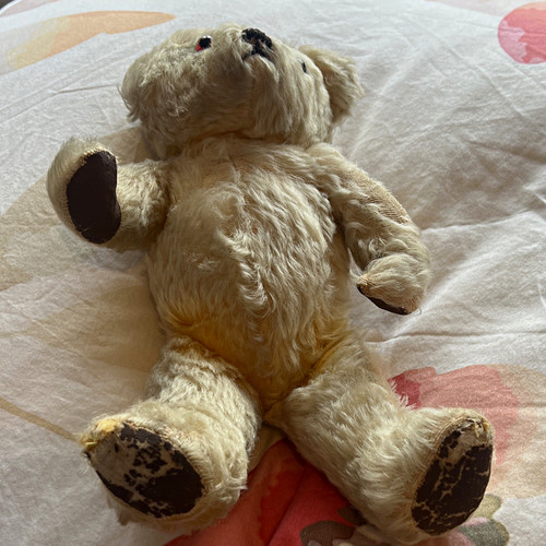 Vintage beige teddy bear - beige,