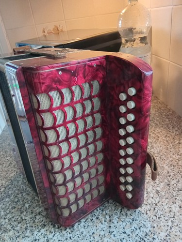 Worldmaster accordeon - worldmaster,