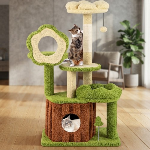 Interactive kitten activity - kitten,