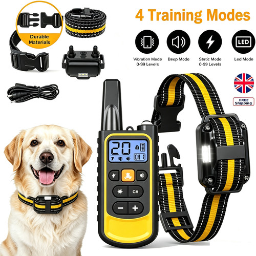 800m remote electric shock - 800m,
