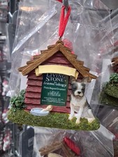 Boston Terrier Photo