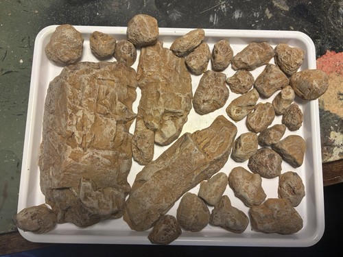 Painted plaster rocks for - rocks,
