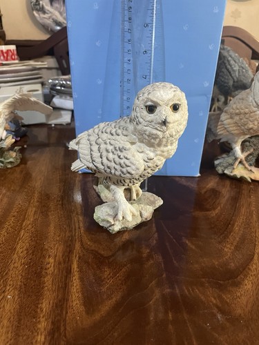 Country artist snowy - country, owl