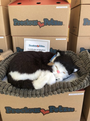 Precious petzzz black - precious,