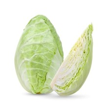 Vegetable Plants - Cabbage