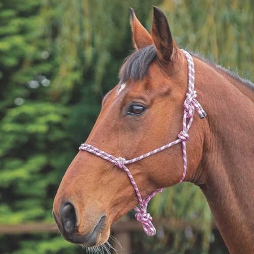 Shires rope control headcollar - control,