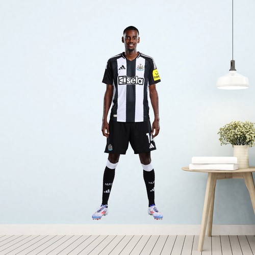 Newcastle united wall sticker - united,