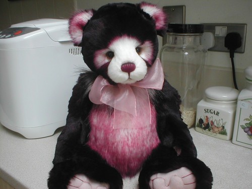 Charlie bears black forest - bears,