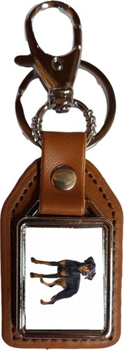 Doberman dog pet - dog, pu