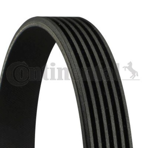 Ribbed belt contitech - belt, fits